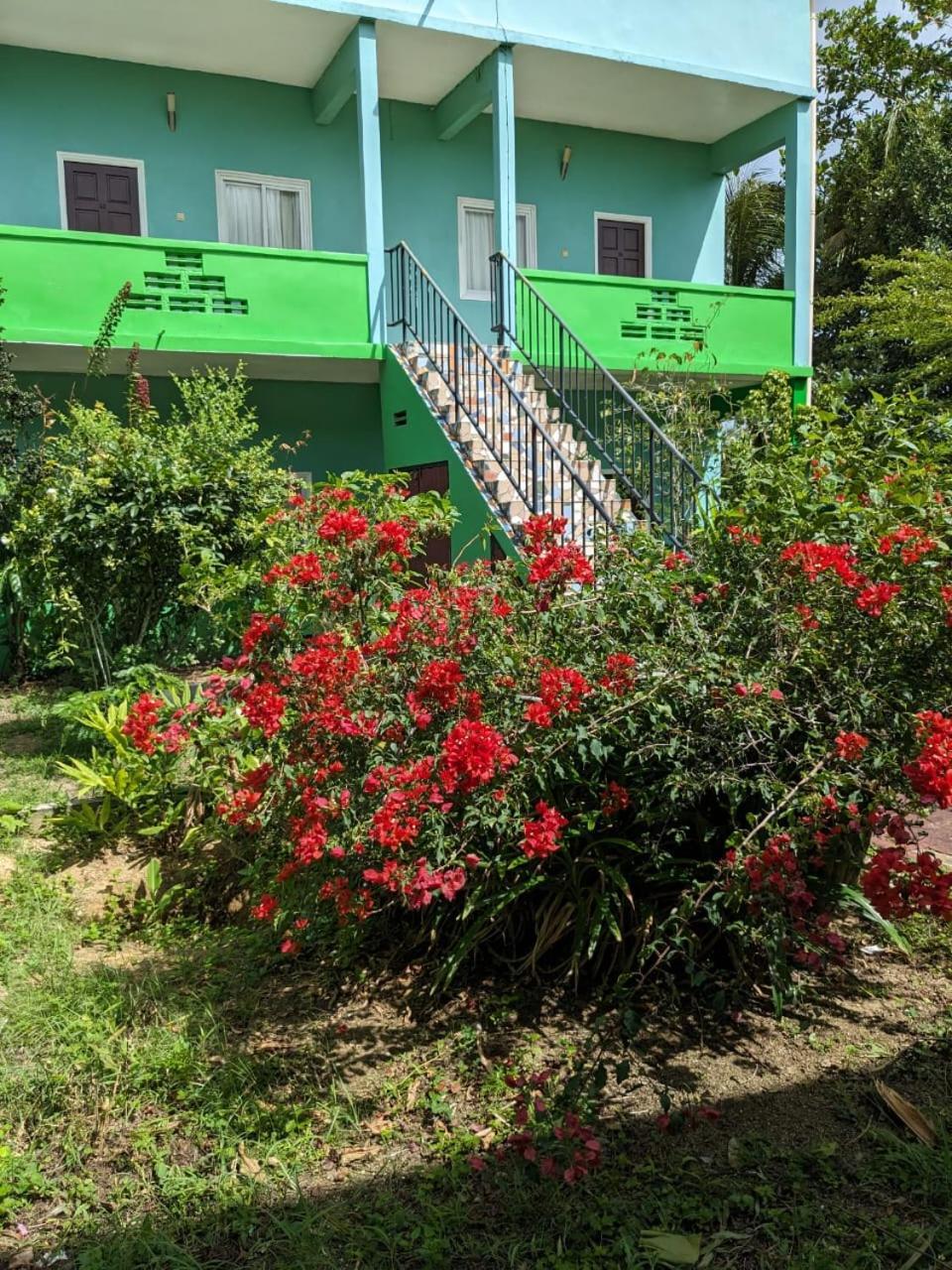 De Kolibrie Appartementen Paramaribo Eksteriør bilde